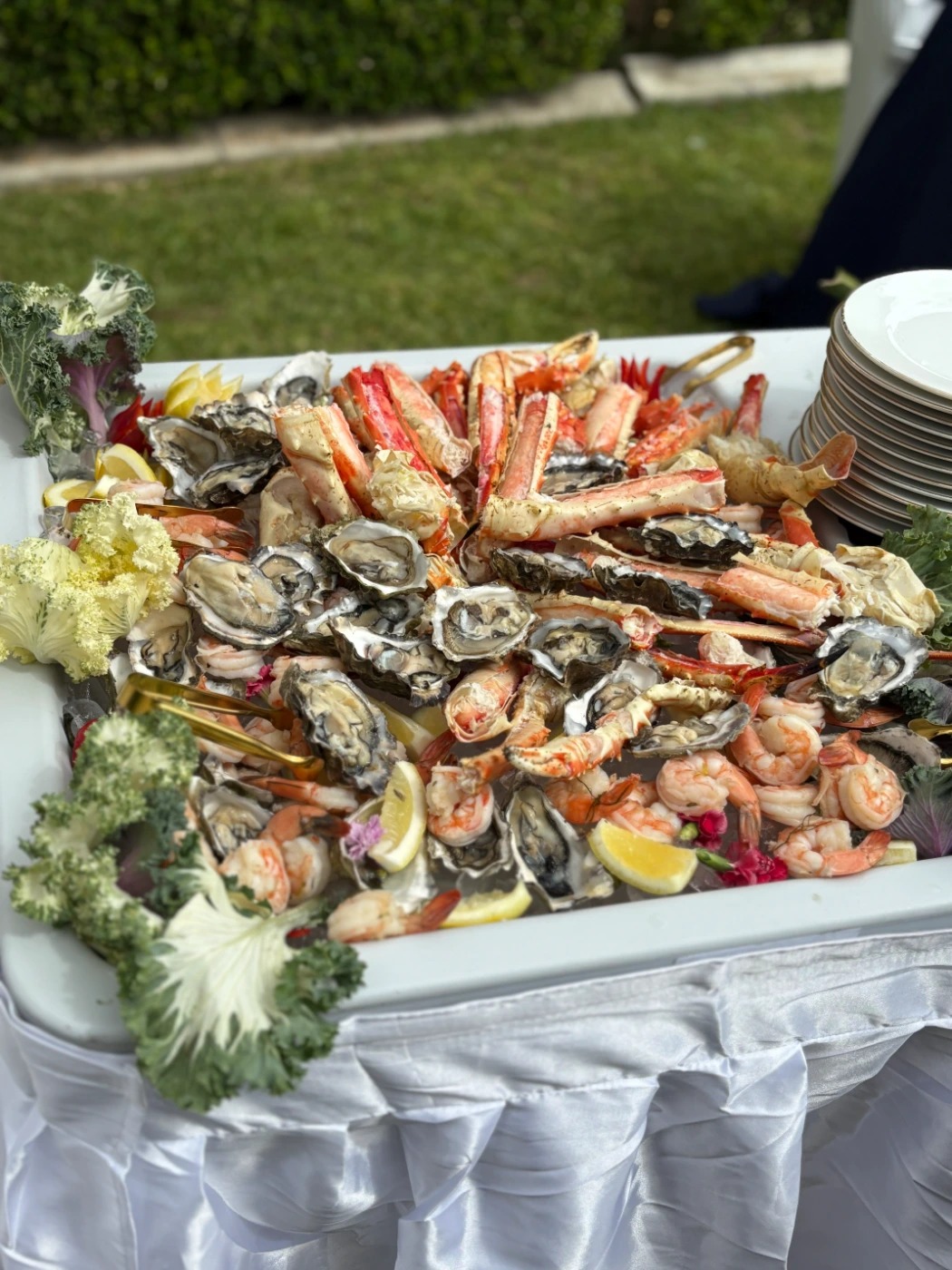 IMG_0908.jpg IMG_0908.jpg