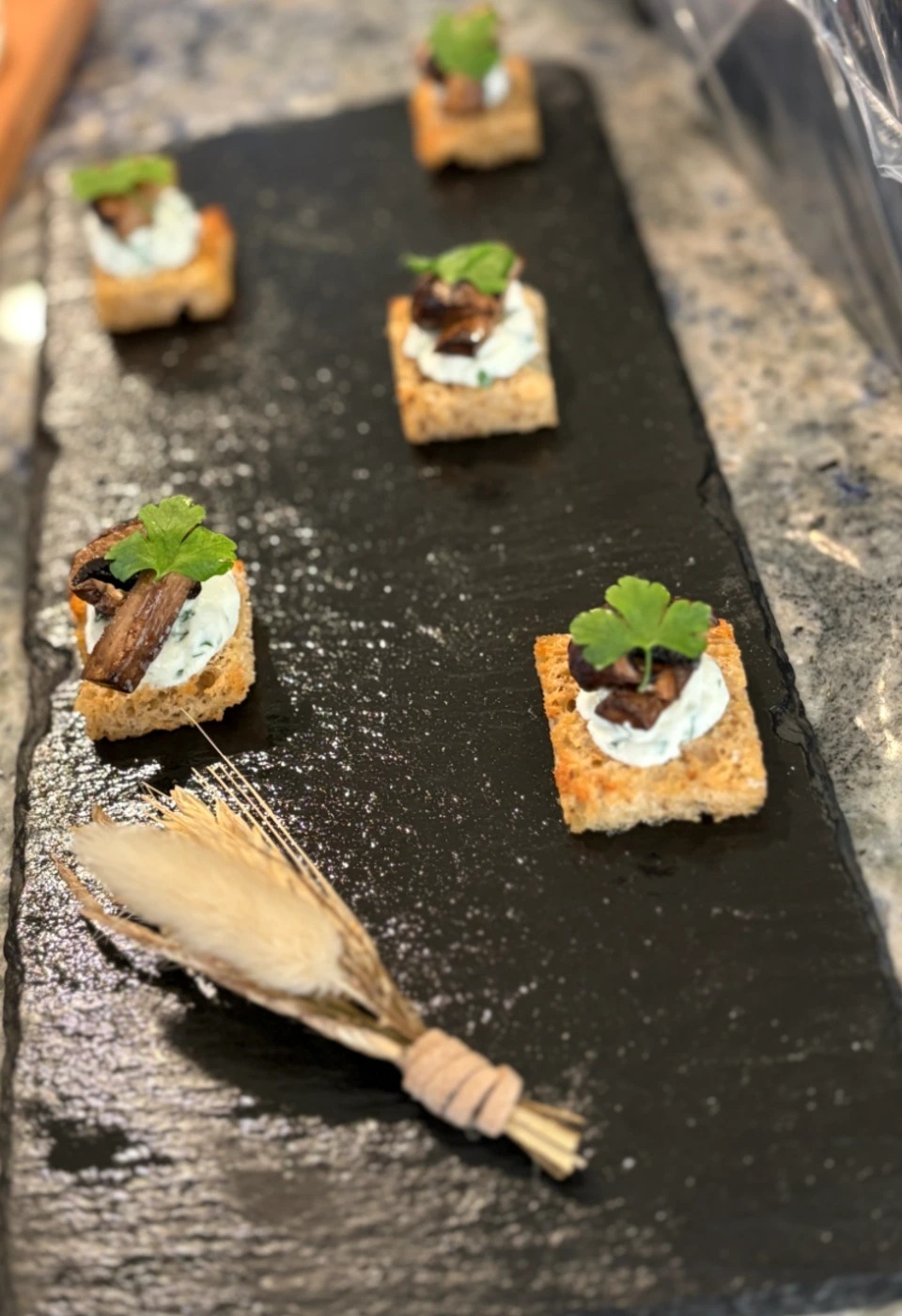 IMG_0953.jpg IMG_0953.jpg