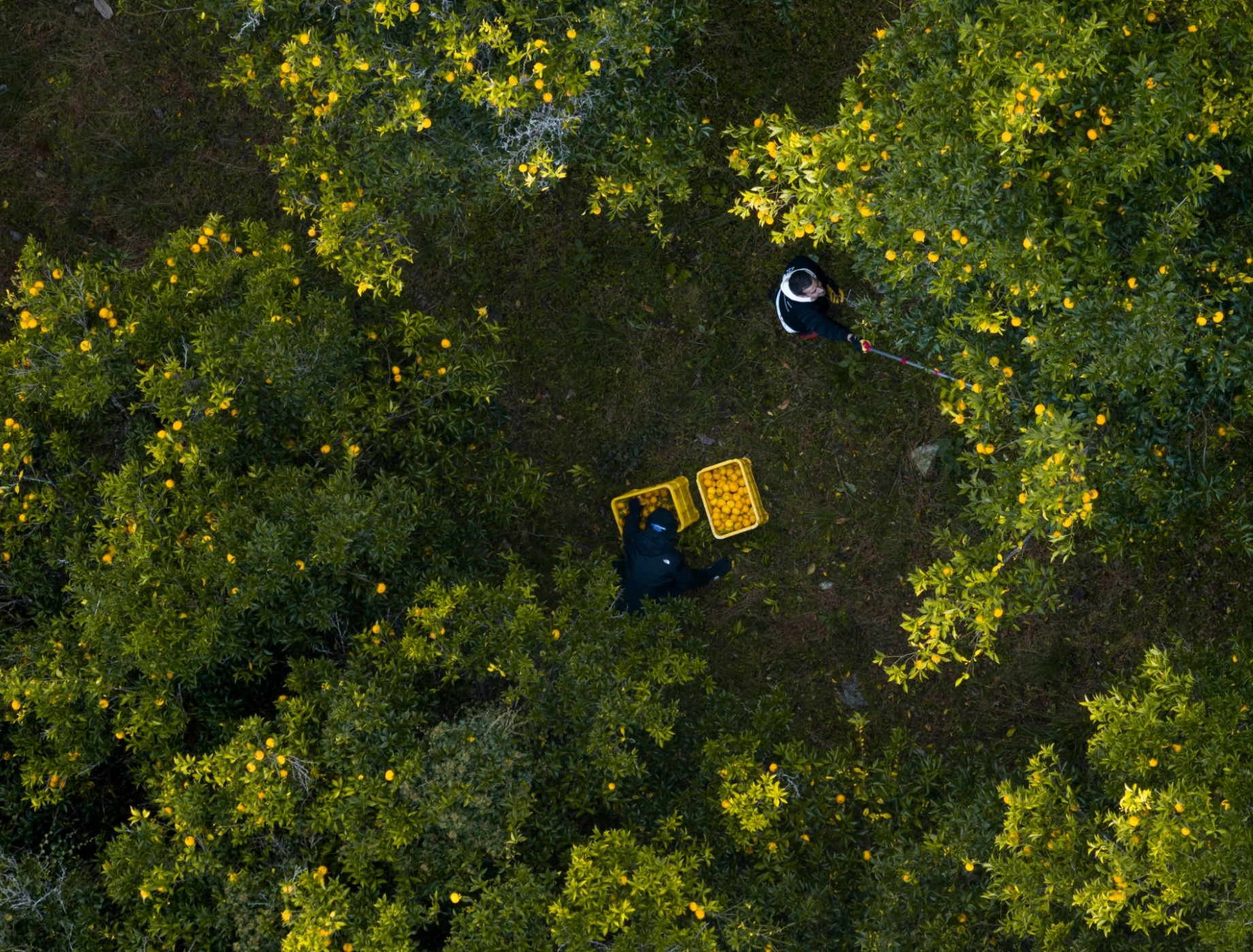 DJI_20231114200442_0011_D.jpeg DJI_20231114200442_0011_D.jpeg