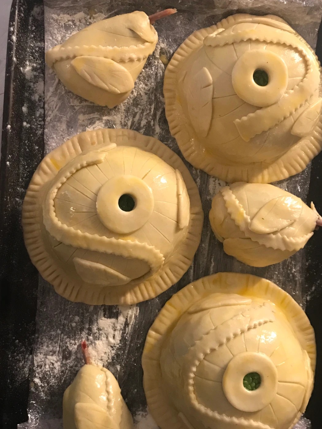 IMG_1317.jpg IMG_1317.jpg