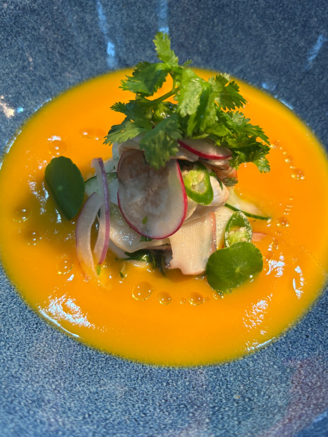 IMG_1714.jpeg IMG_1714.jpeg