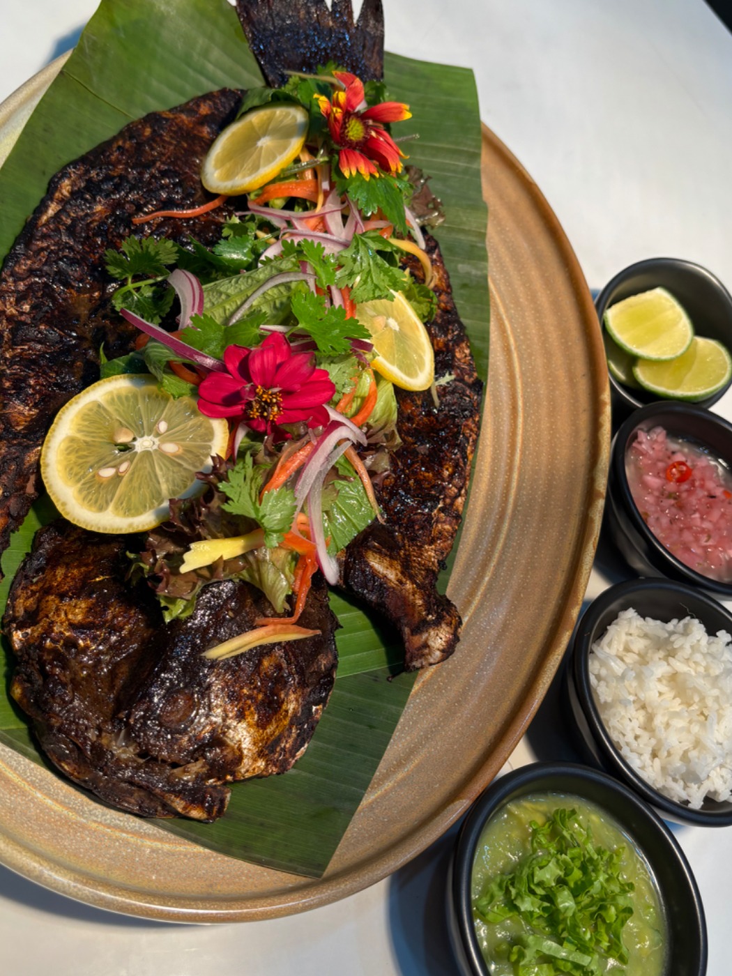 IMG_1779.jpeg IMG_1779.jpeg