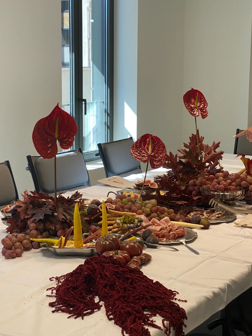 IMG_5729.jpeg IMG_5729.jpeg