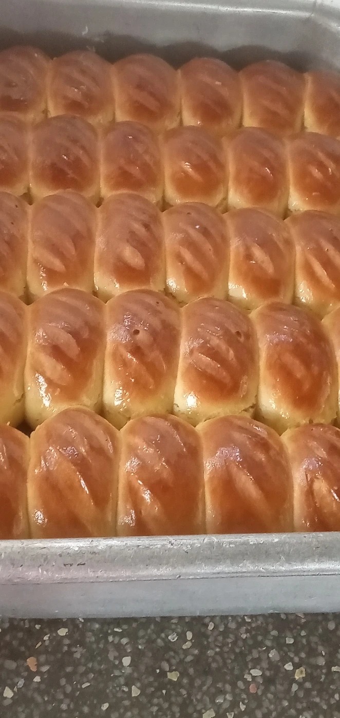 IMG_20251112_093255.jpg IMG_20251112_093255.jpg