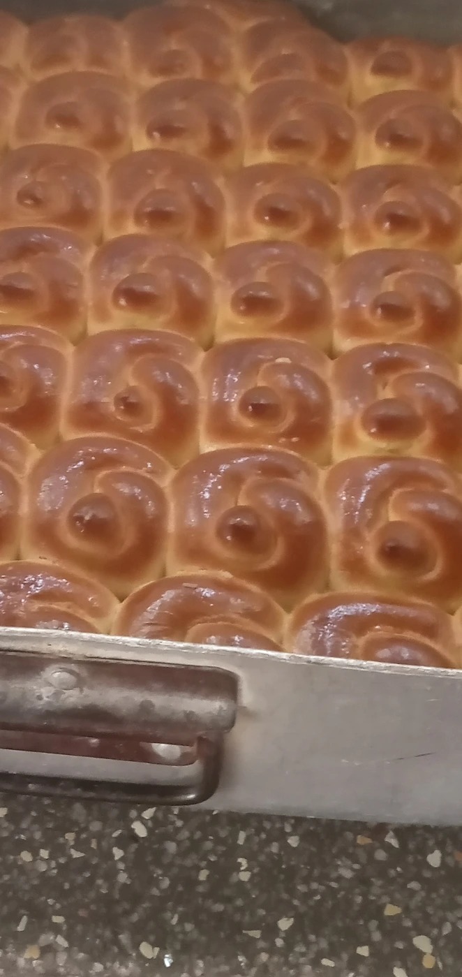 IMG_20251112_093306.jpg IMG_20251112_093306.jpg