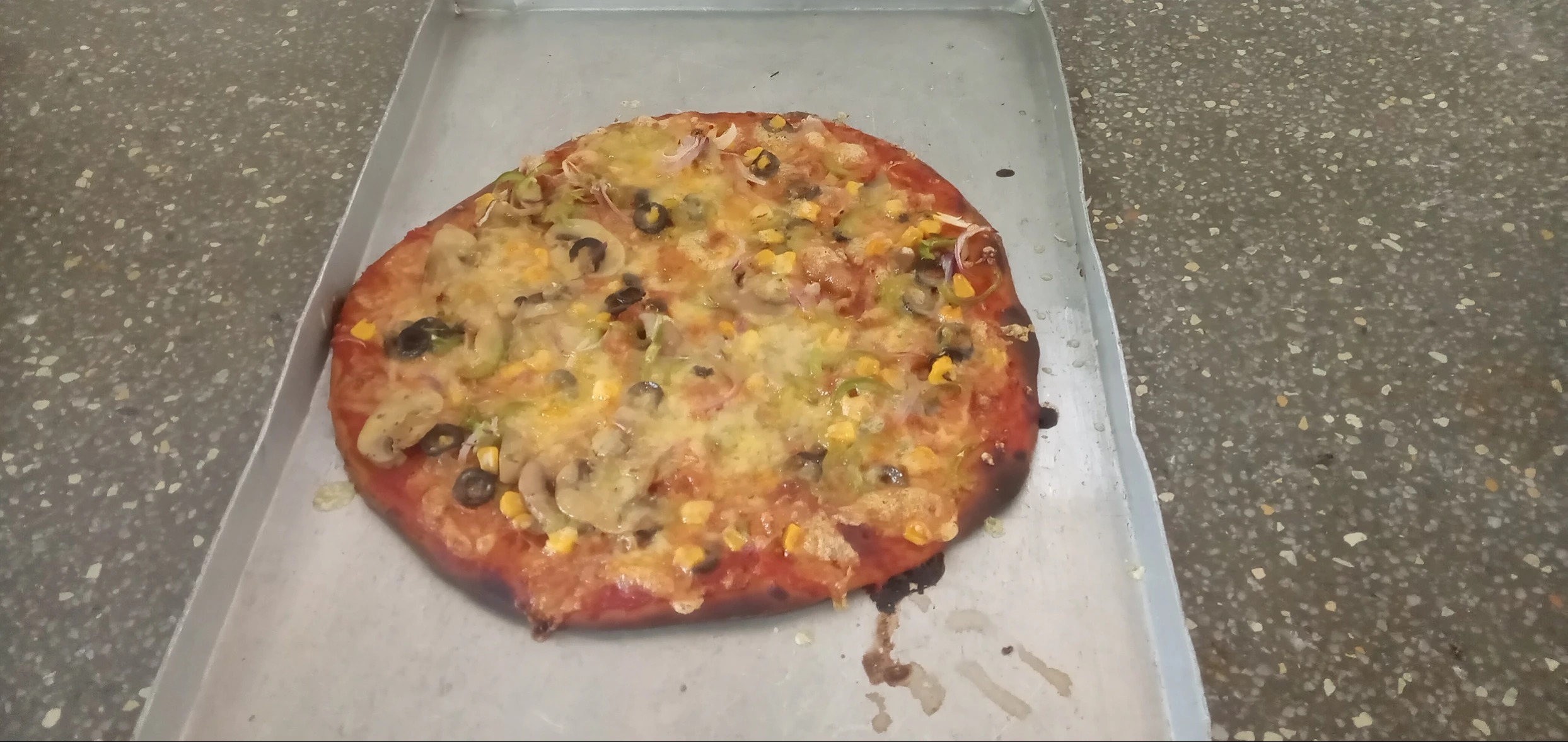 IMG_20251113_120932.jpg IMG_20251113_120932.jpg