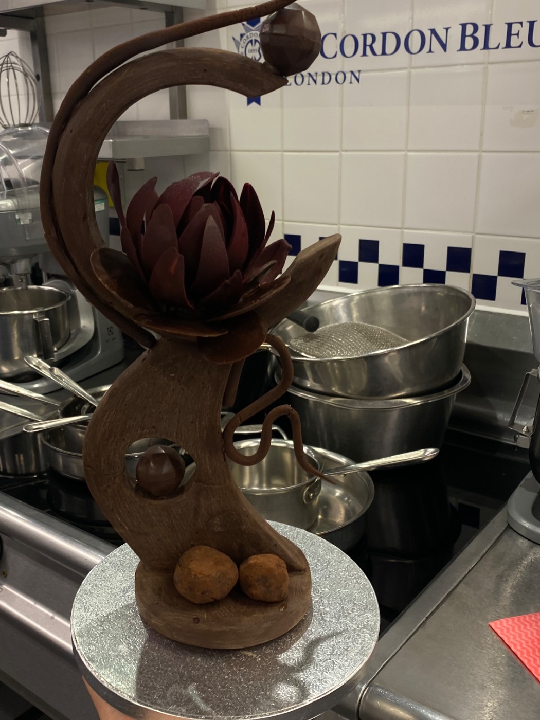 IMG_9967.jpeg IMG_9967.jpeg