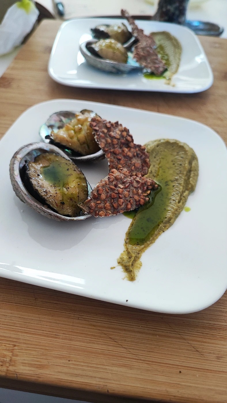 IMG_20250804_130327.jpg IMG_20250804_130327.jpg