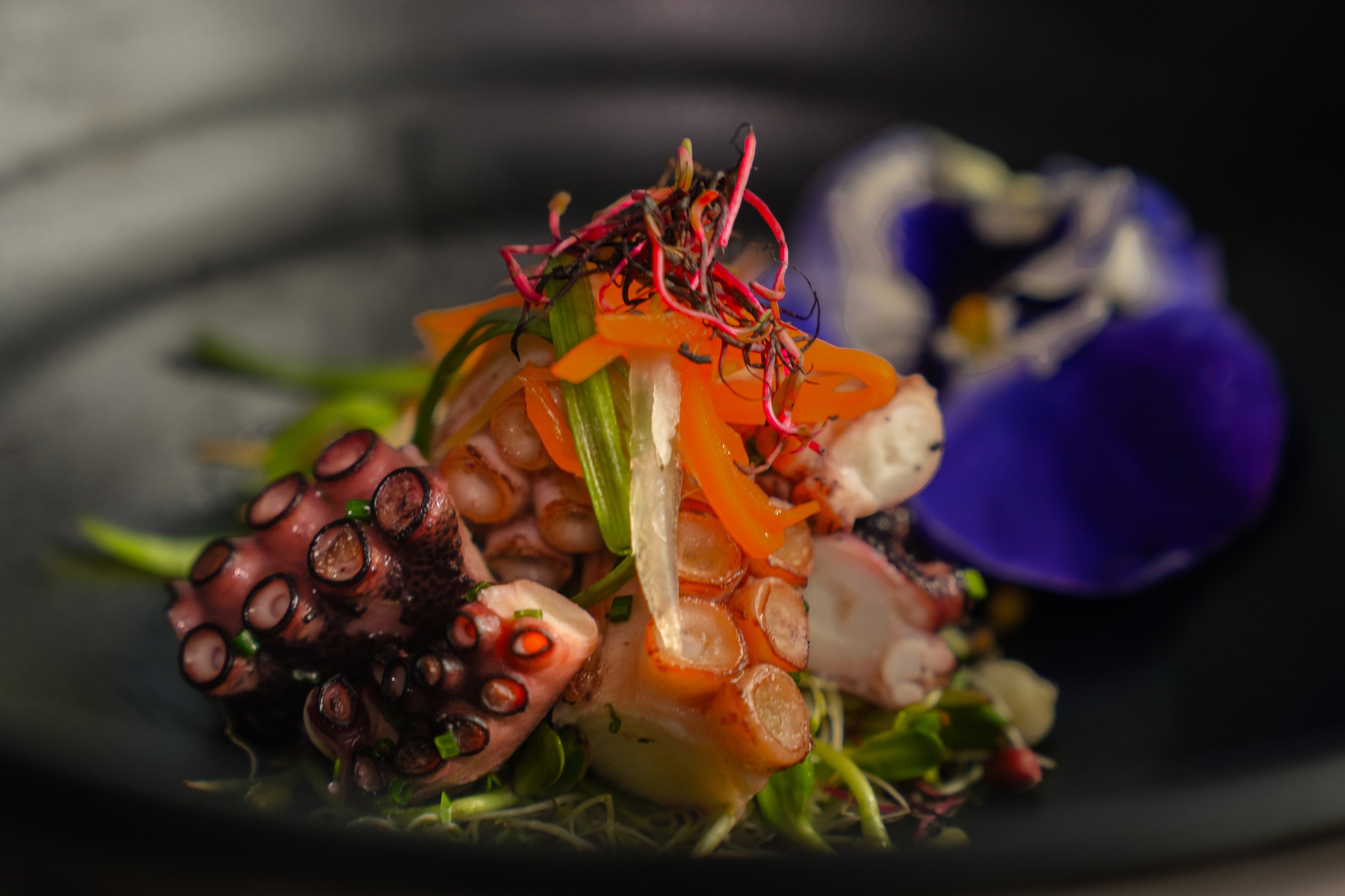 IMG_2668.jpeg IMG_2668.jpeg