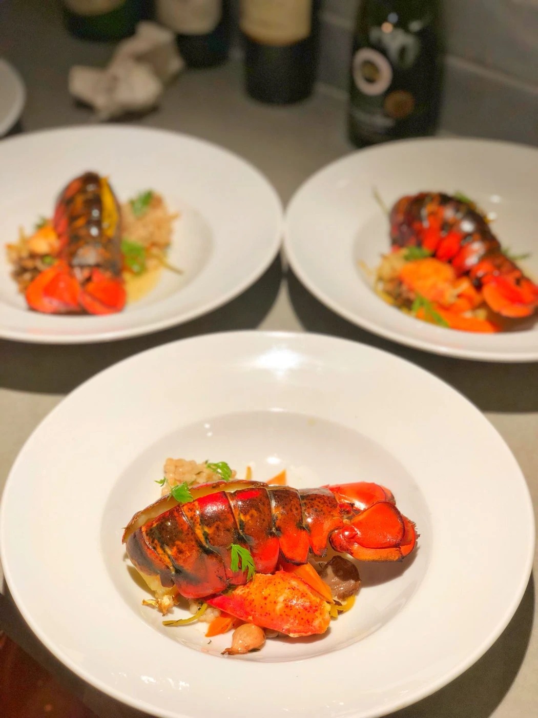 lobodinnerdy2.jpg lobodinnerdy2.jpg