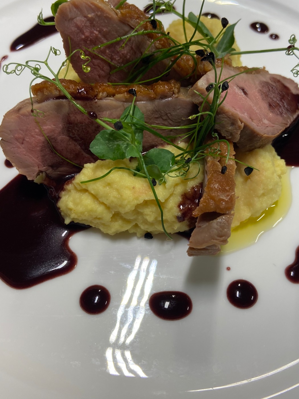 IMG_4777.jpeg IMG_4777.jpeg