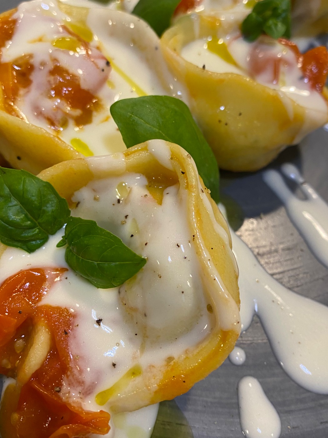 IMG_1905.jpeg IMG_1905.jpeg