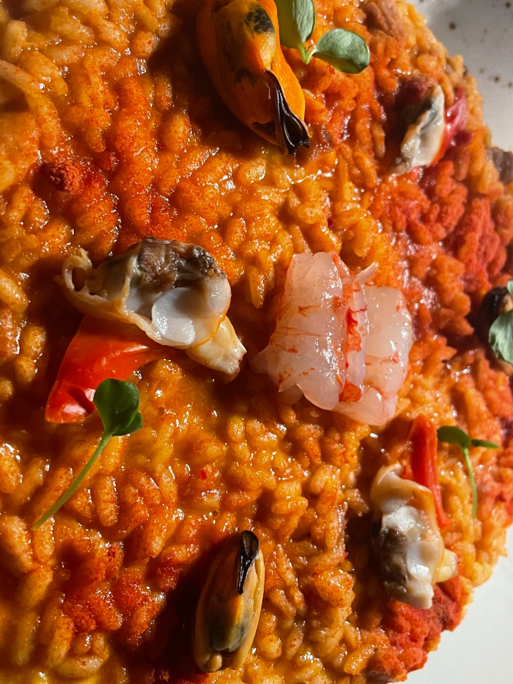 IMG_8122.jpeg IMG_8122.jpeg