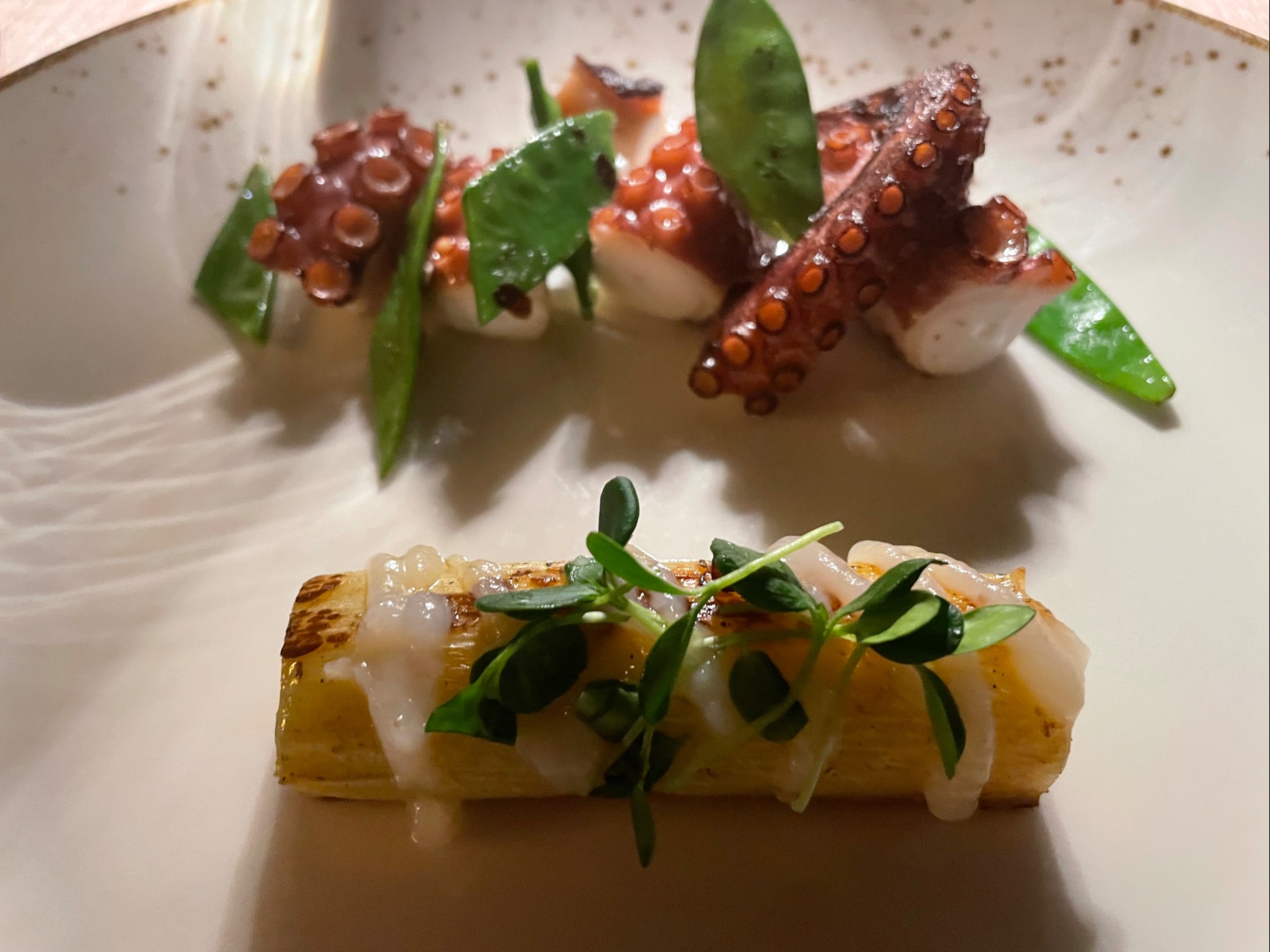 IMG_8121.jpeg IMG_8121.jpeg