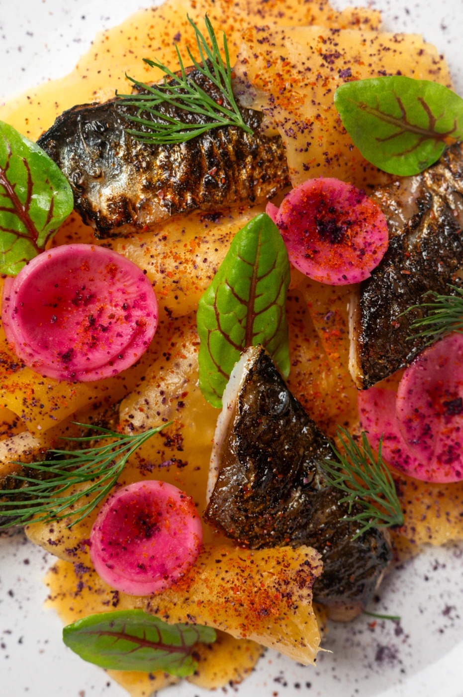 DSC_7907.jpg DSC_7907.jpg