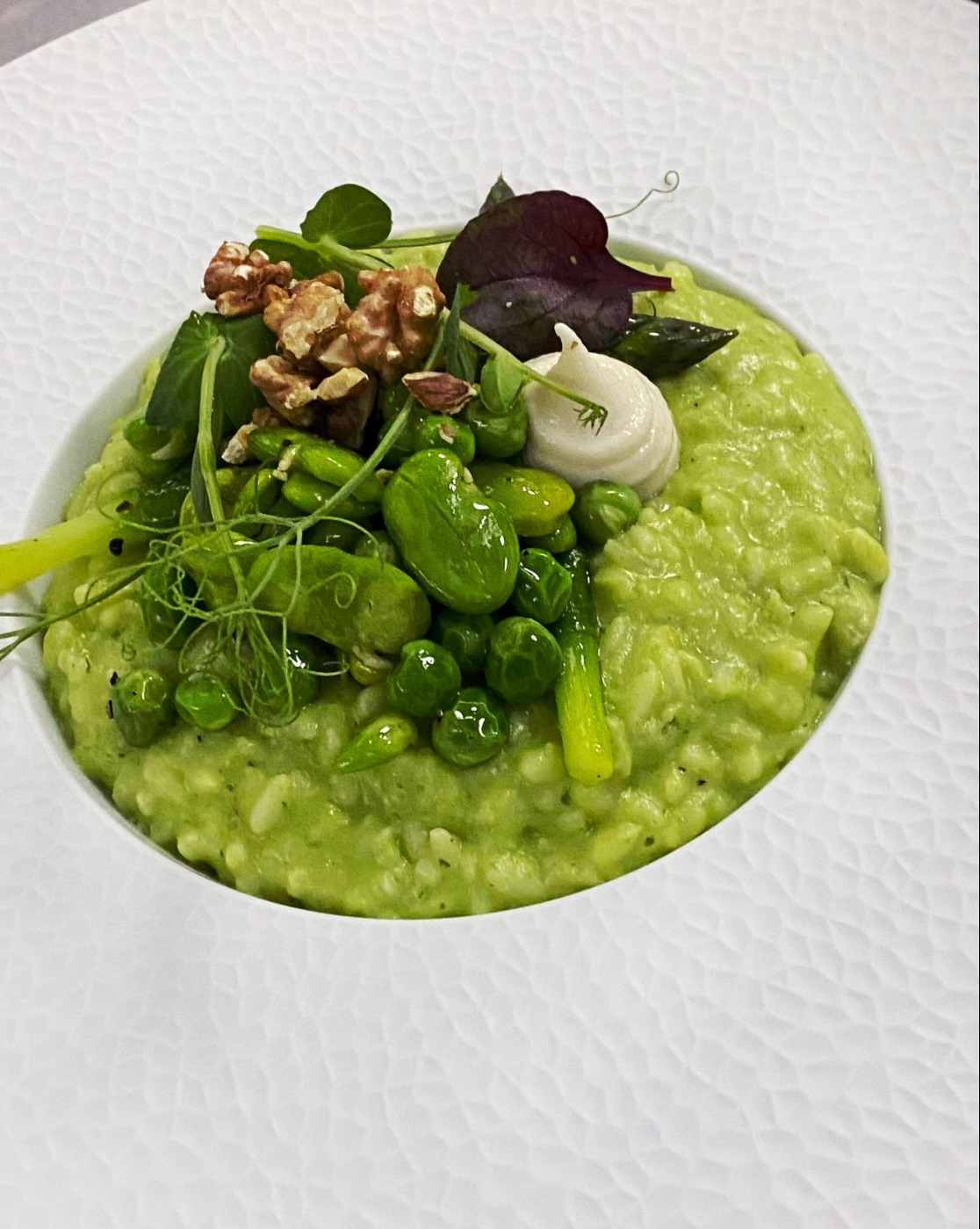 IMG_6219.jpeg IMG_6219.jpeg