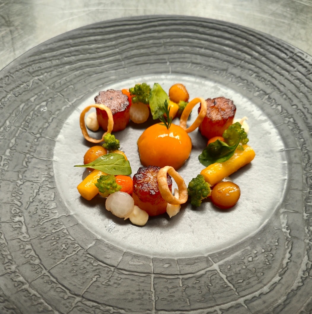 IMG20231116122811.jpg IMG20231116122811.jpg