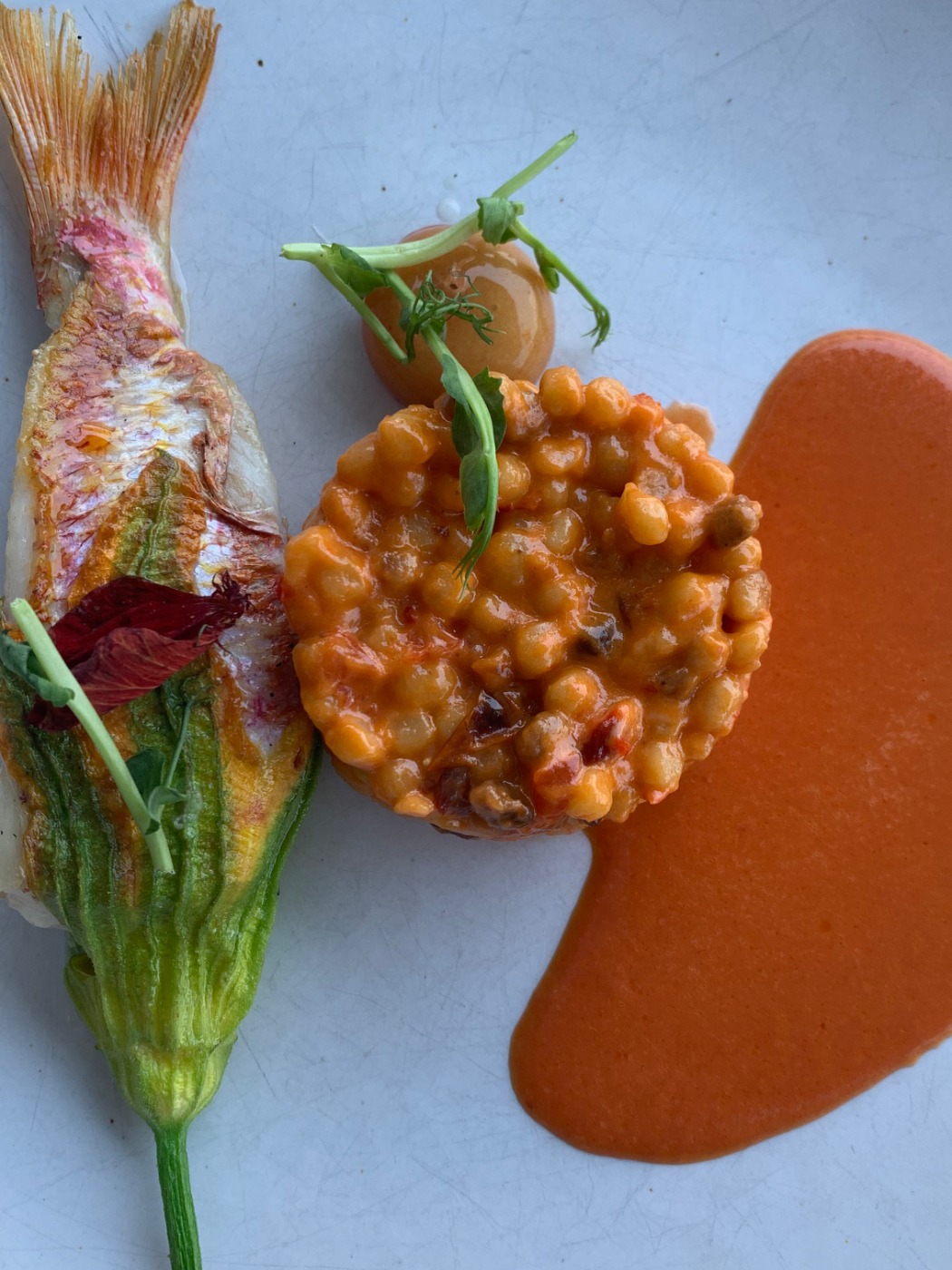 IMG_5850.jpeg IMG_5850.jpeg