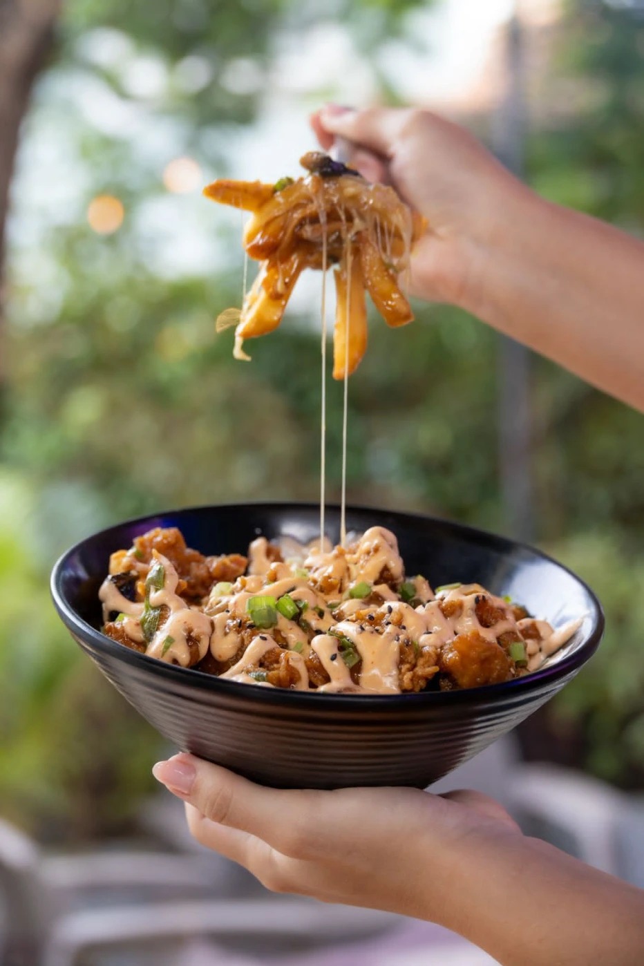 1000571109.jpg 1000571109.jpg