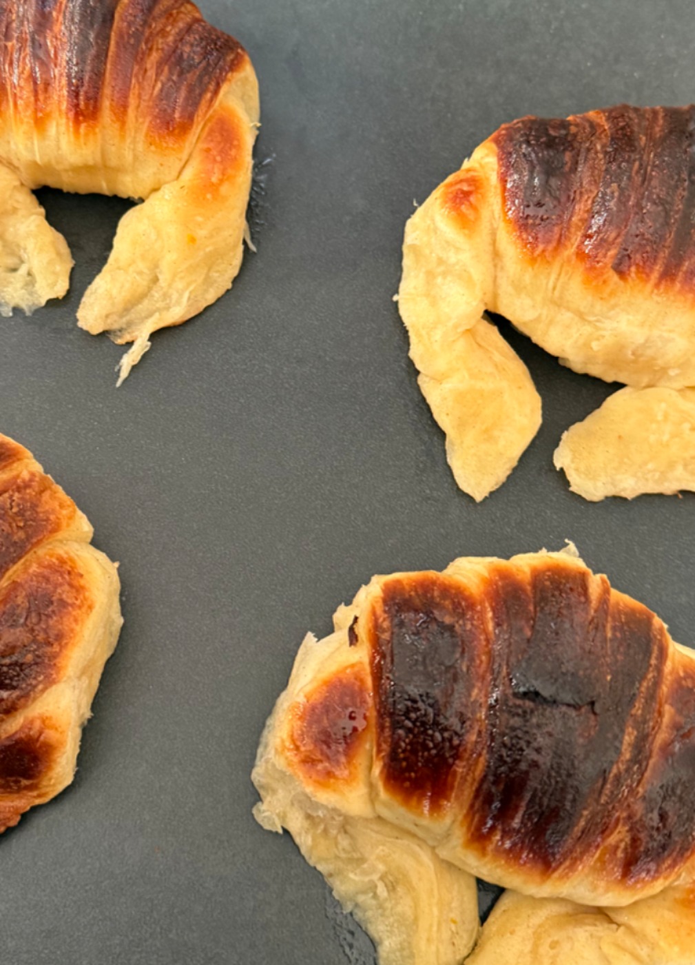 IMG_2936.jpeg IMG_2936.jpeg