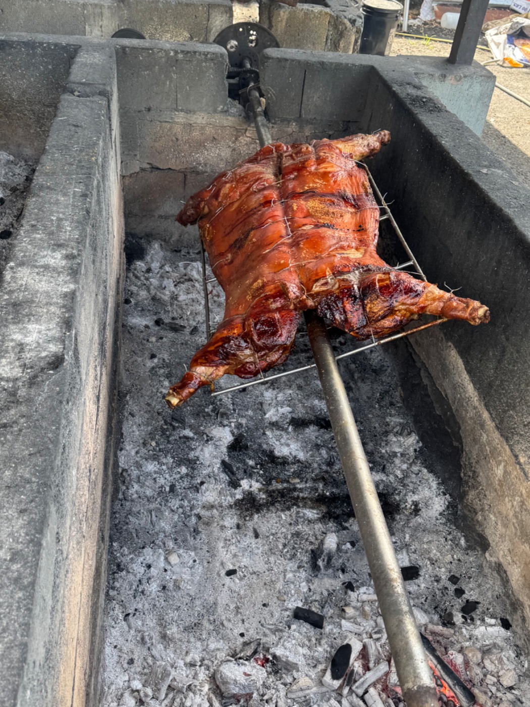 IMG_2785.jpeg IMG_2785.jpeg