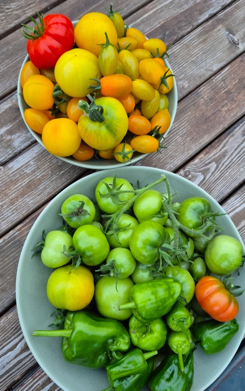 Screenshot_20251209_145352_Gallery.jpg Screenshot_20251209_145352_Gallery.jpg