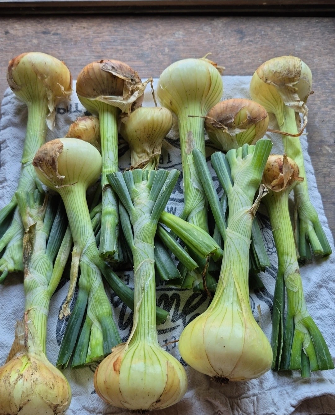 Screenshot_20251209_145443_Gallery.jpg Screenshot_20251209_145443_Gallery.jpg