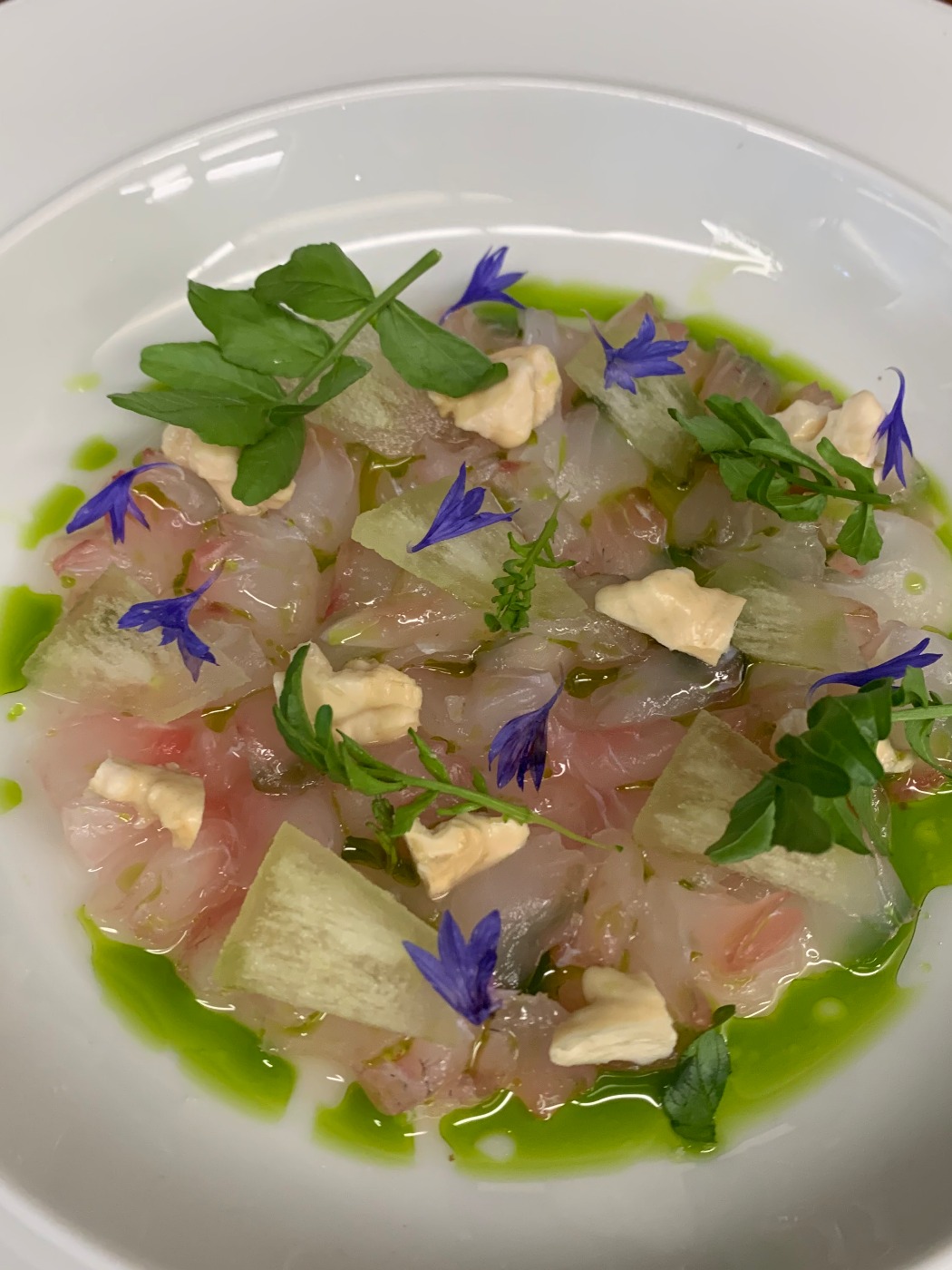 IMG_6237.jpeg IMG_6237.jpeg