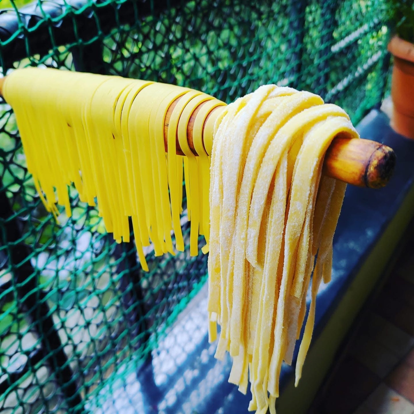 IMG_6549.jpeg IMG_6549.jpeg