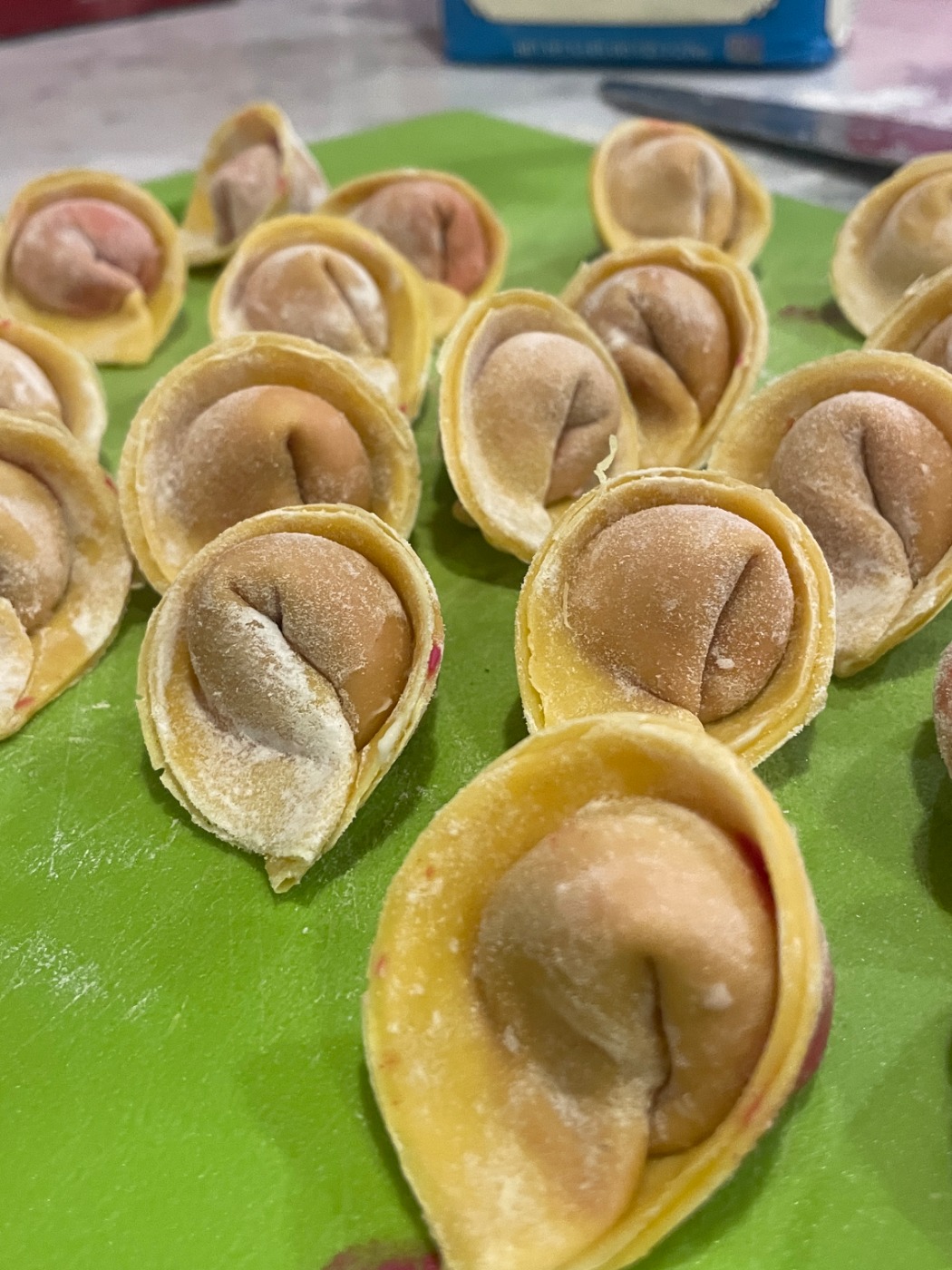 IMG_6028.jpeg IMG_6028.jpeg