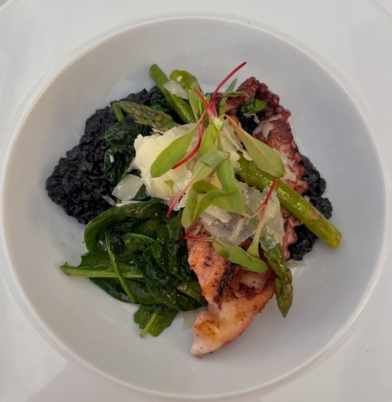 IMG_4370.jpeg IMG_4370.jpeg