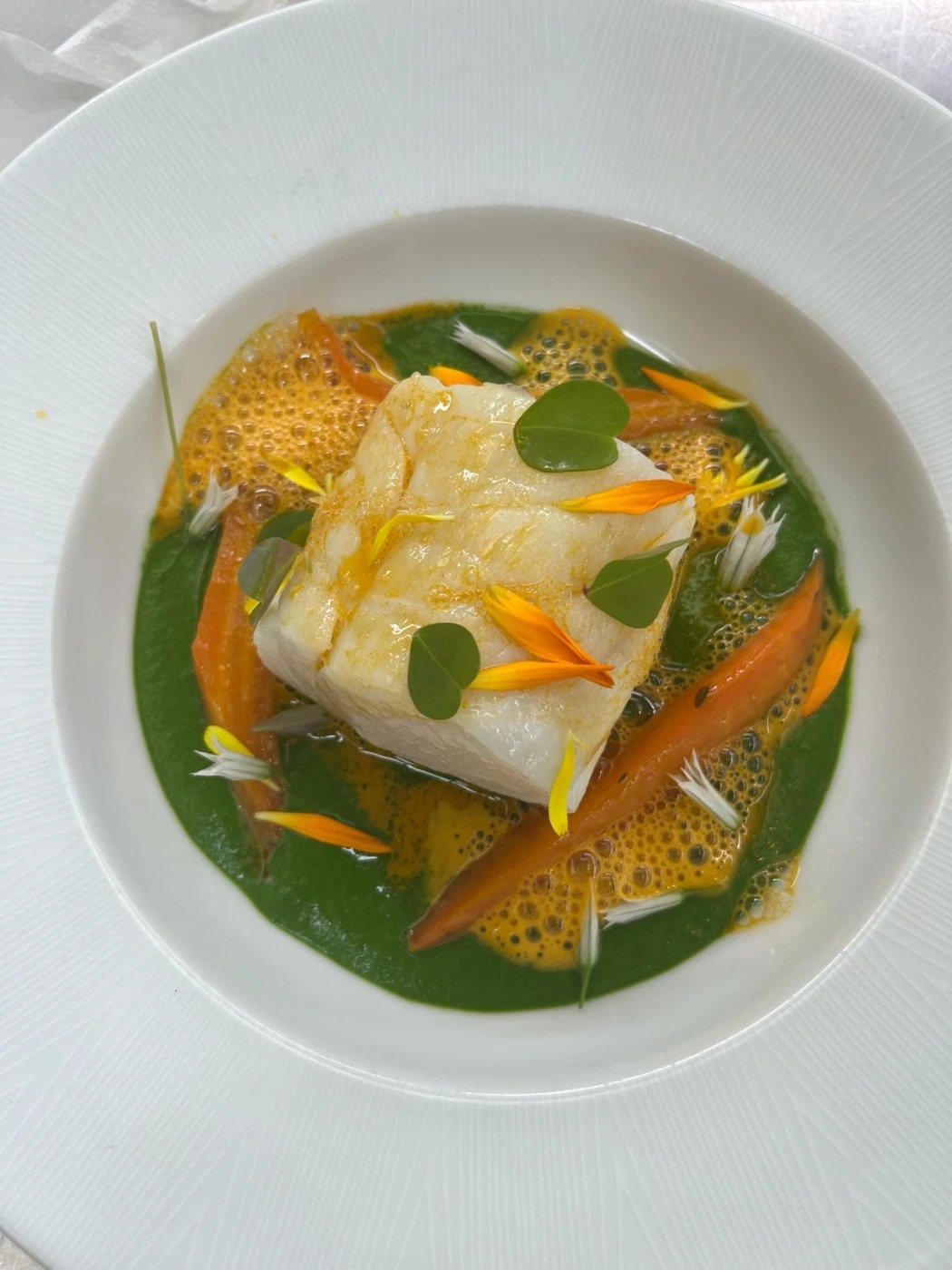 1000051697.jpg 1000051697.jpg