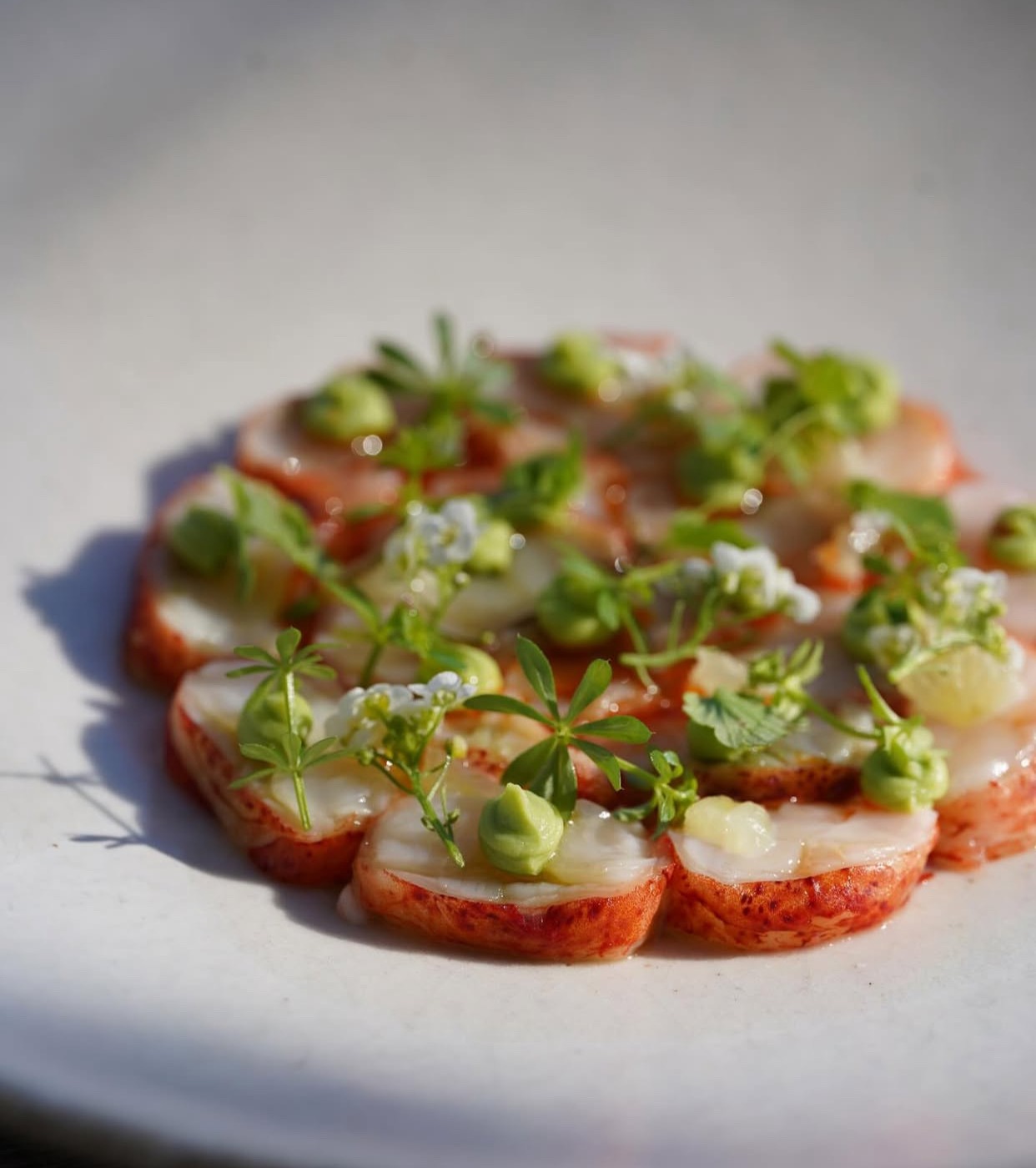 IMG_8406.jpeg IMG_8406.jpeg