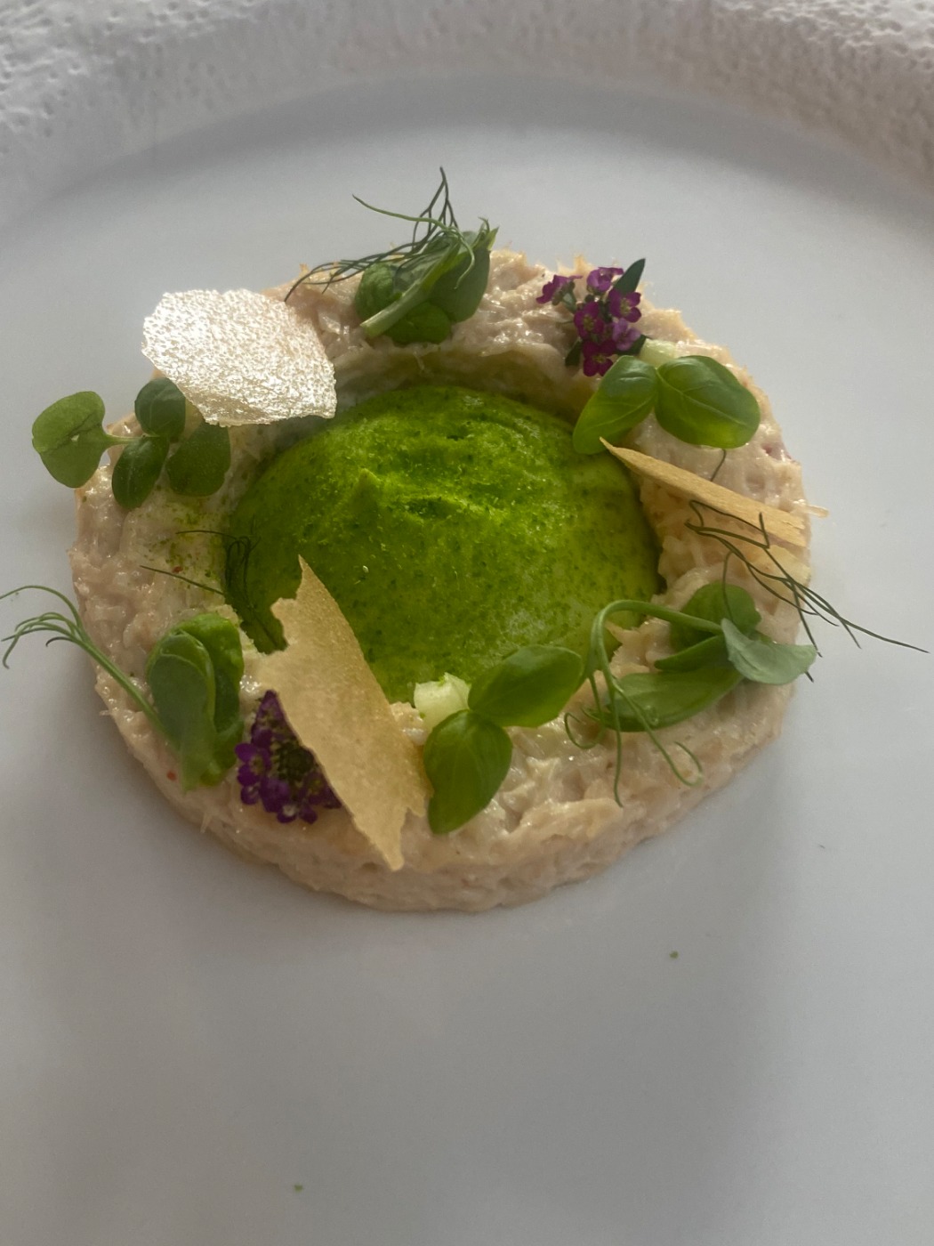 IMG_8392.jpeg IMG_8392.jpeg