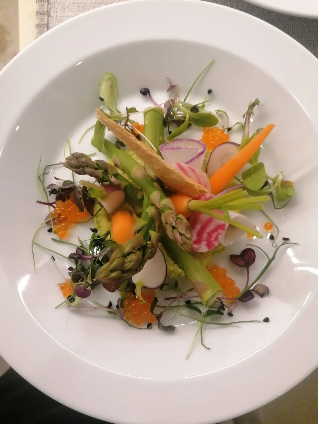 inbound2563155437683371349.jpg inbound2563155437683371349.jpg