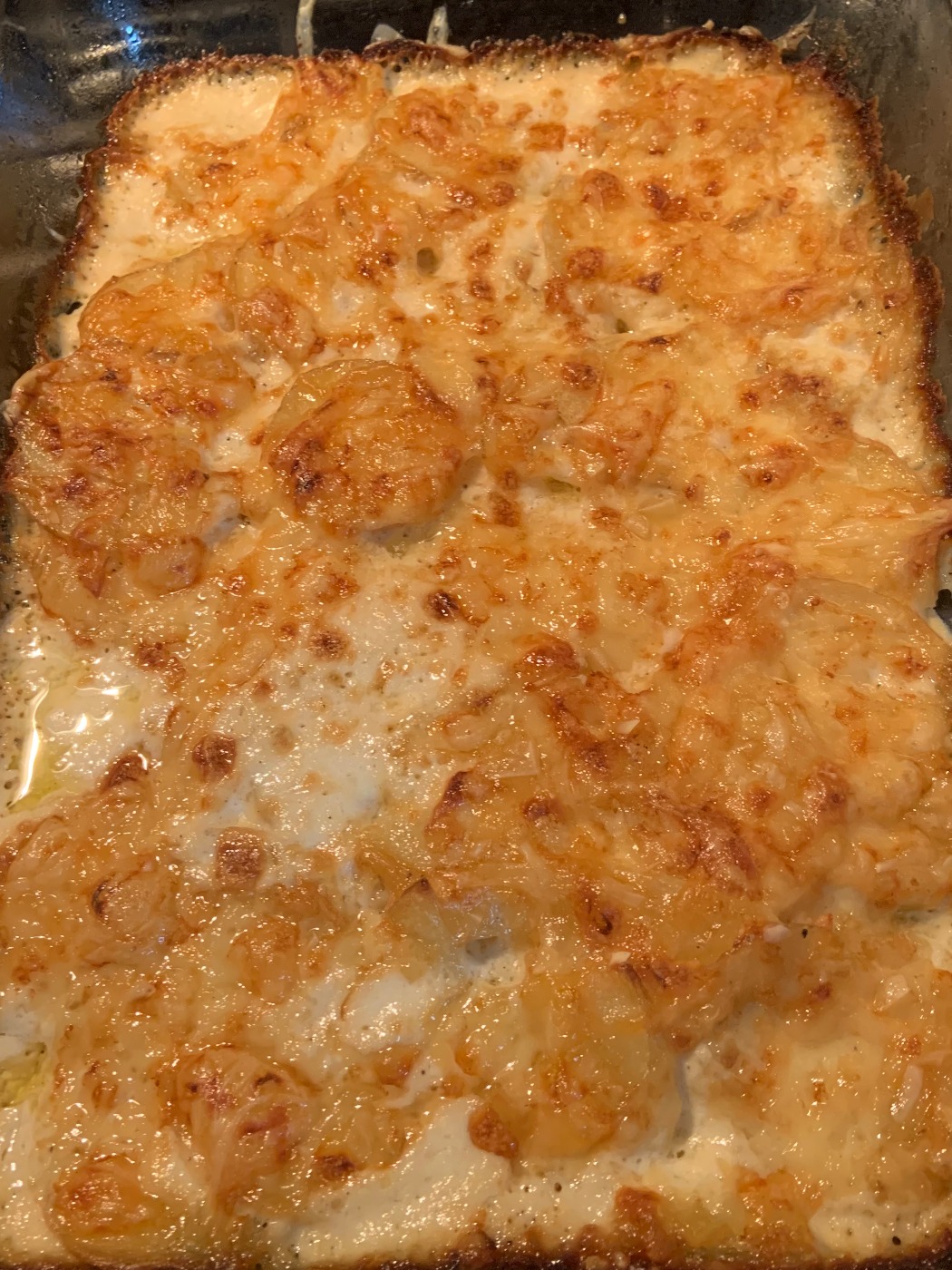 IMG_5845.jpeg IMG_5845.jpeg