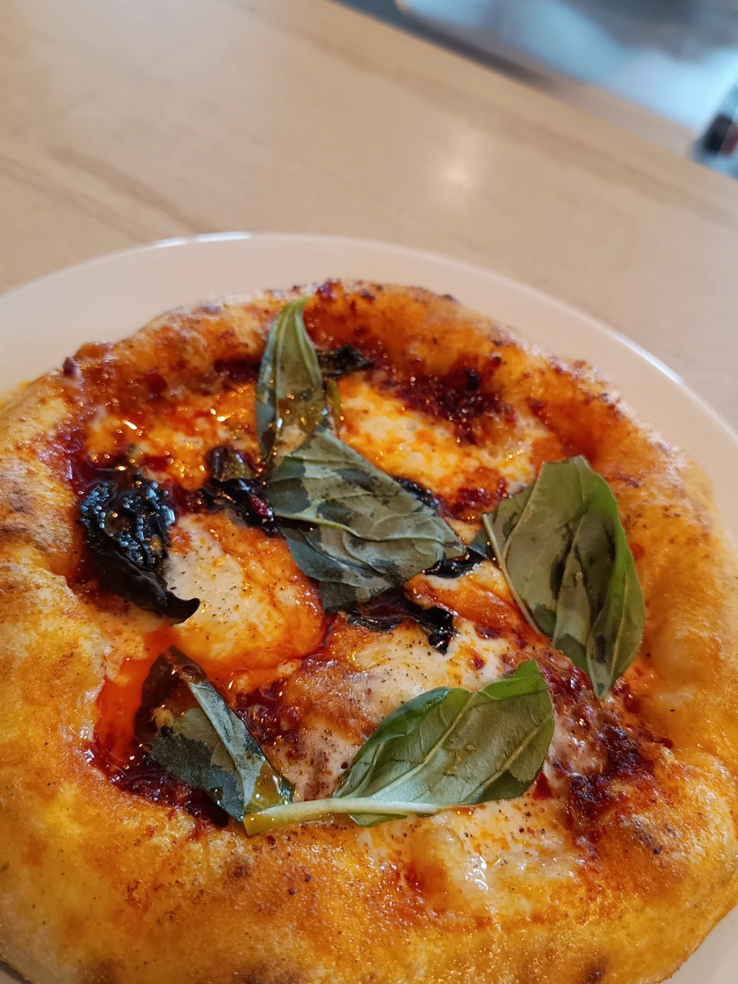 IMG_20250620_131607344.jpg IMG_20250620_131607344.jpg