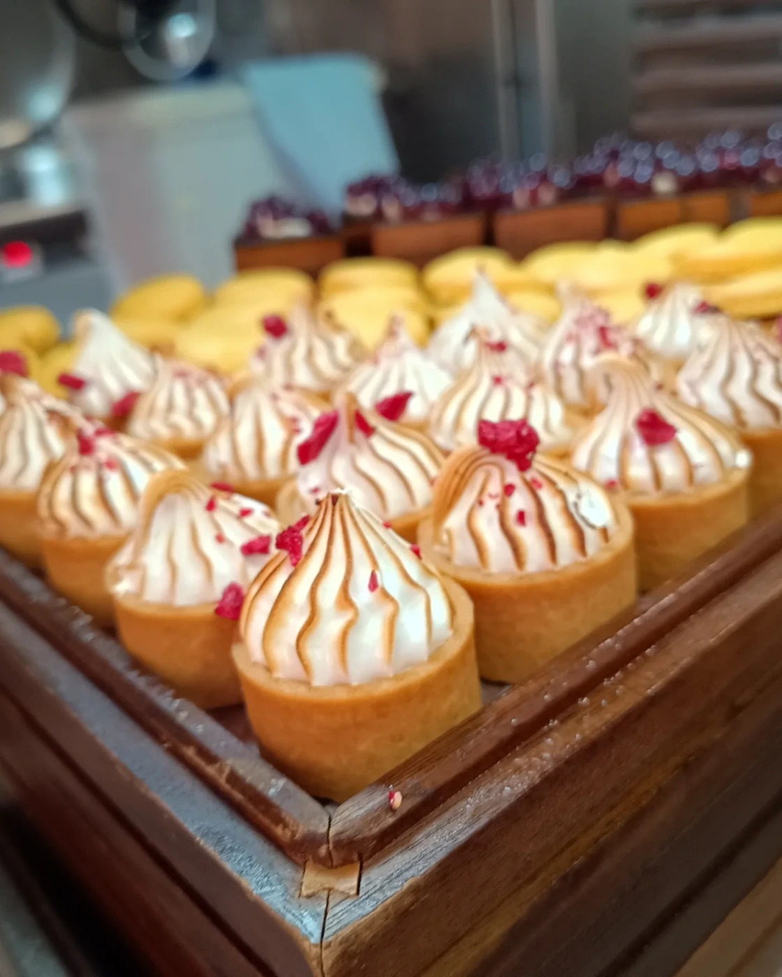 1000023553.jpg 1000023553.jpg