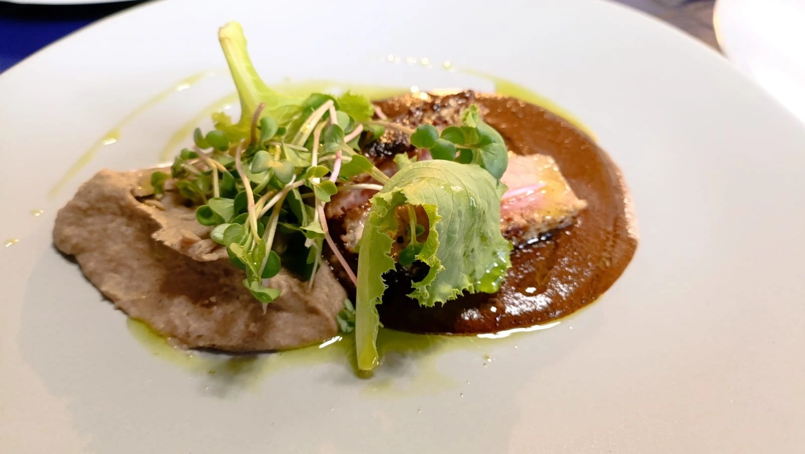 1000242048.jpg 1000242048.jpg