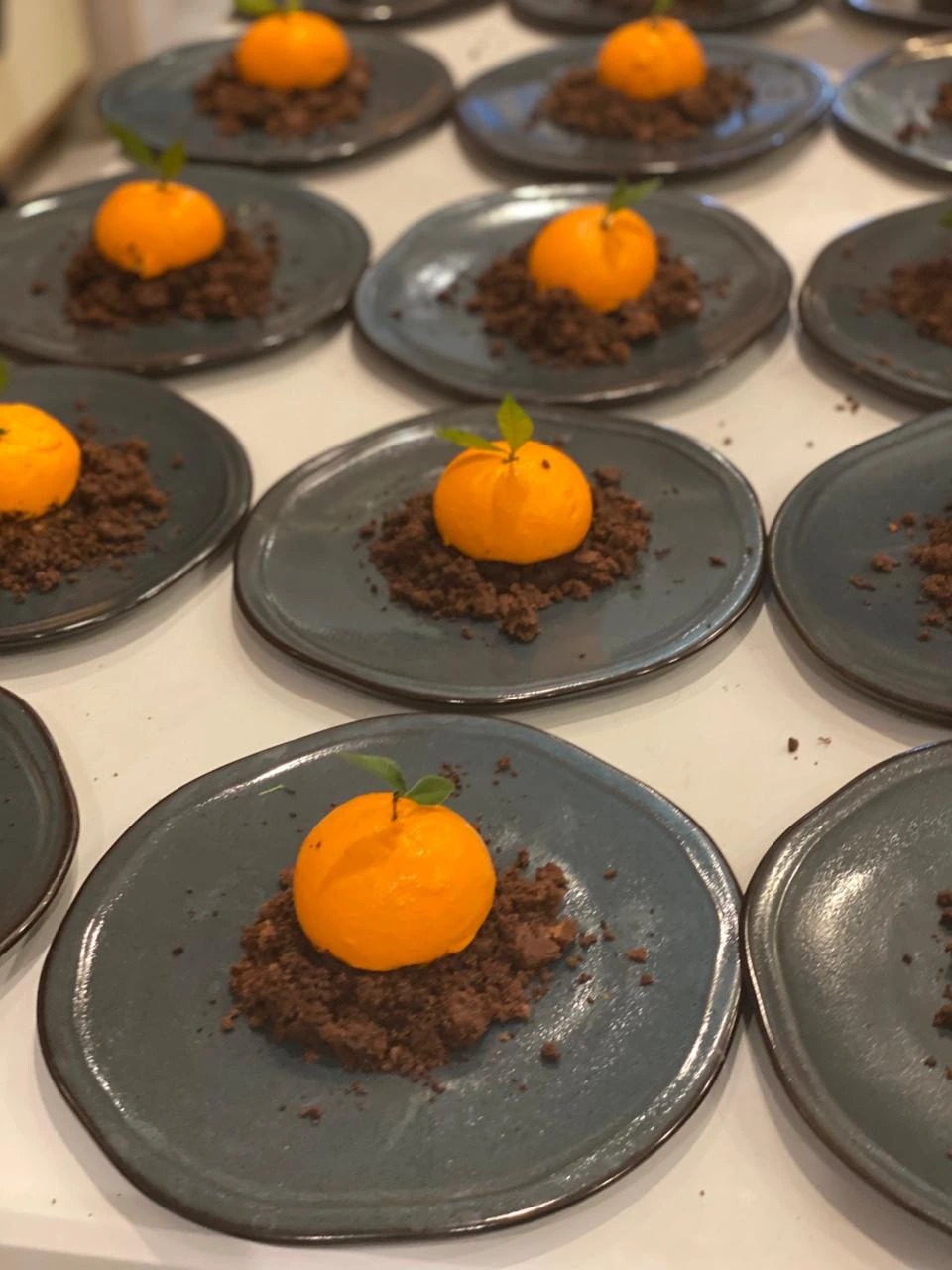 1000235320.jpg 1000235320.jpg