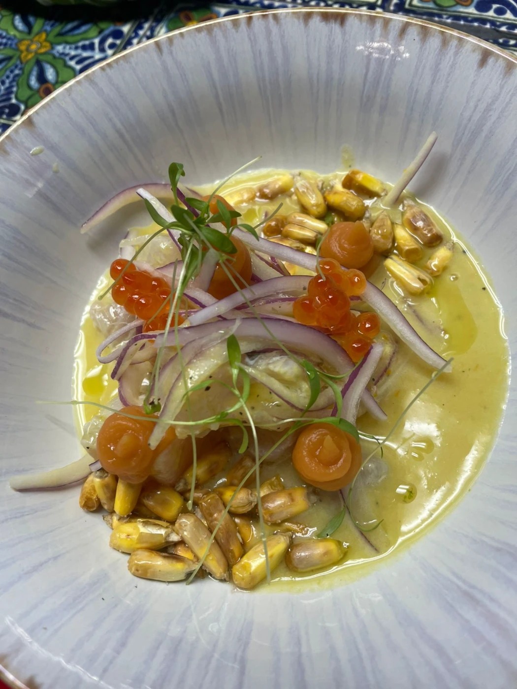 1000015555.jpg 1000015555.jpg