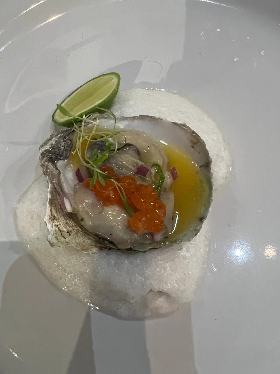 1000006672.jpg 1000006672.jpg