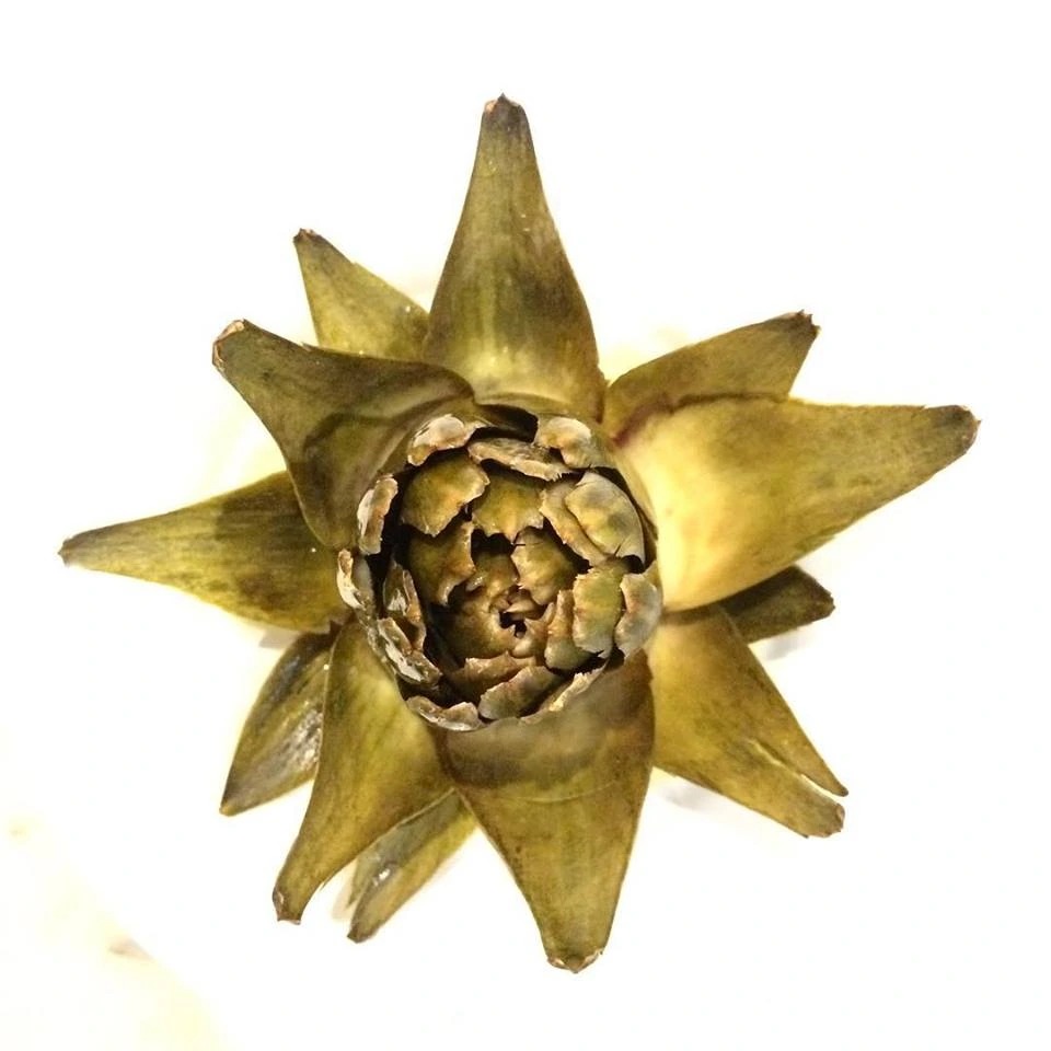 Carciofo affucato.jpg Carciofo affucato.jpg