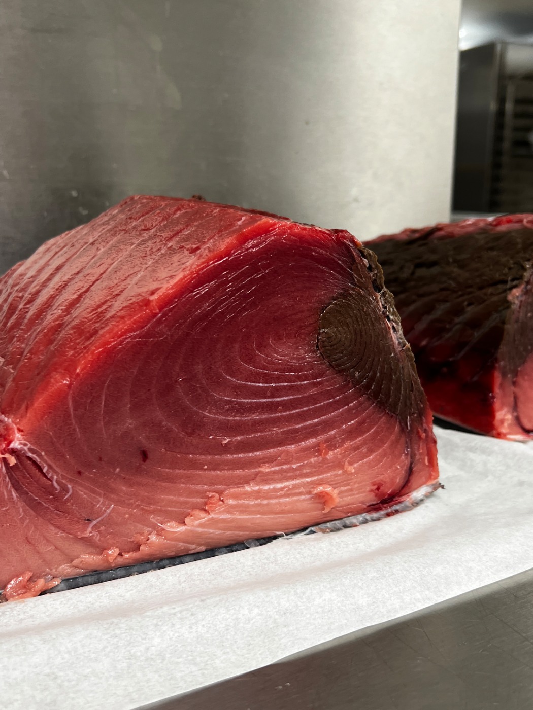 IMG_6478.jpeg IMG_6478.jpeg