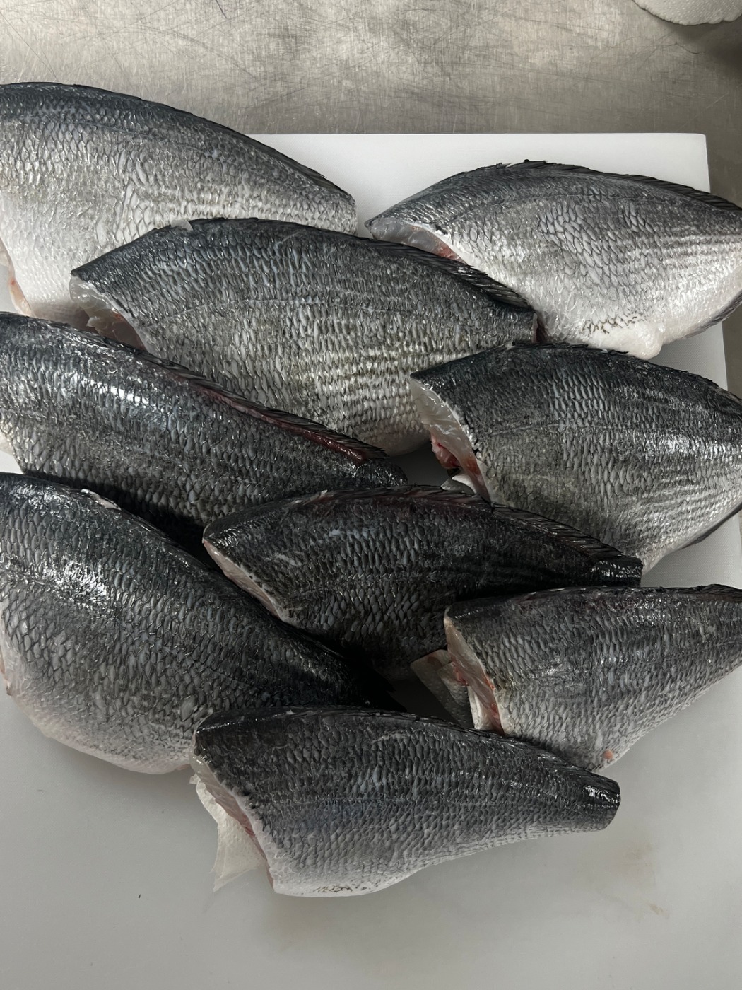 IMG_6444.jpeg IMG_6444.jpeg