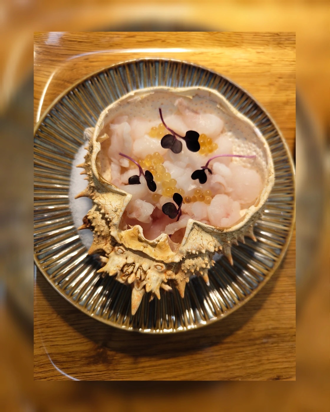 1000076585.jpg 1000076585.jpg