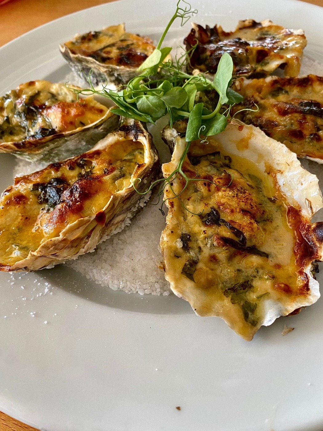 8d43d6e2-5f95-4370-874d-40e402ca1520.jpeg 8d43d6e2-5f95-4370-874d-40e402ca1520.jpeg