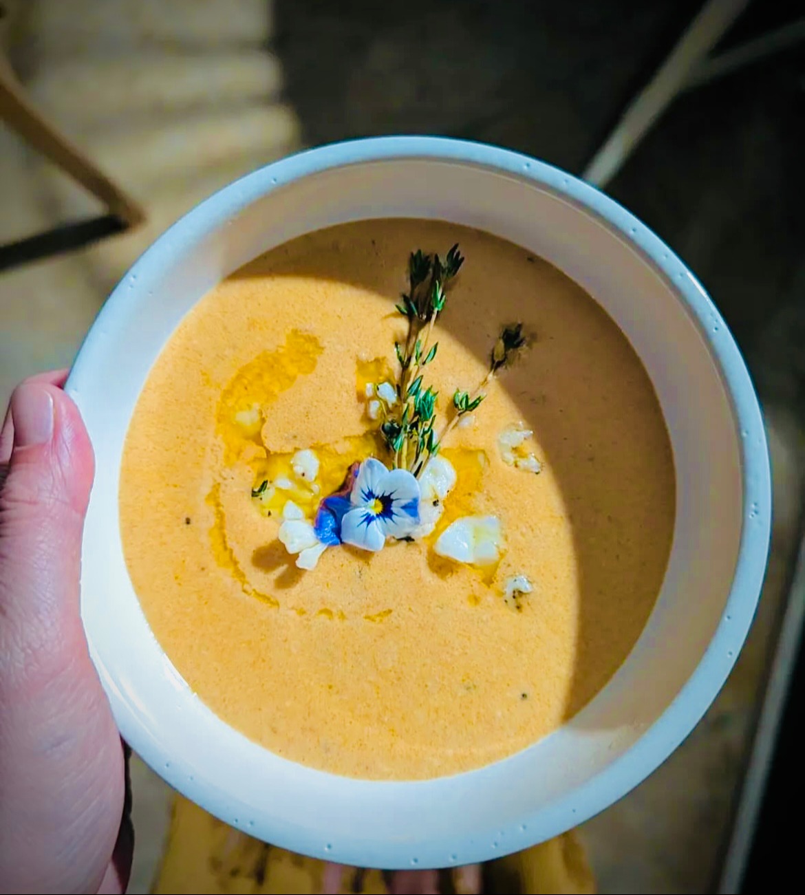 IMG_0749.jpeg IMG_0749.jpeg