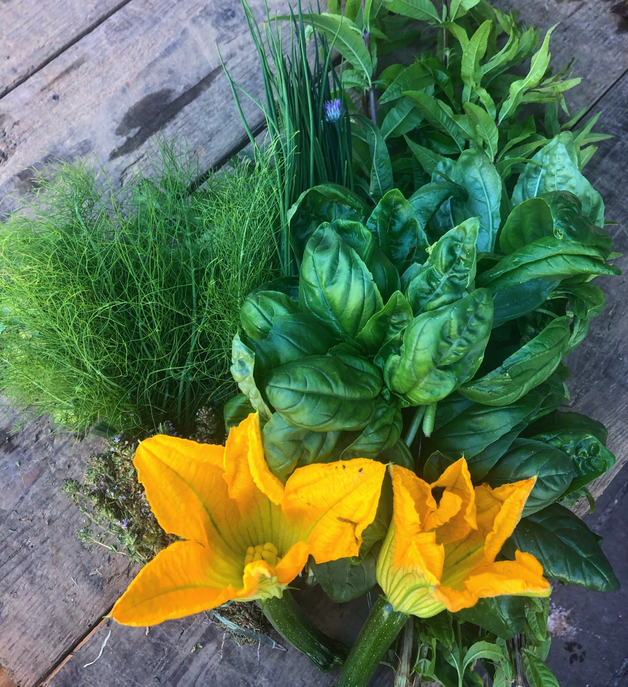 C8E0634A-86F0-4543-9BFF-46A9080FC251.jpeg C8E0634A-86F0-4543-9BFF-46A9080FC251.jpeg