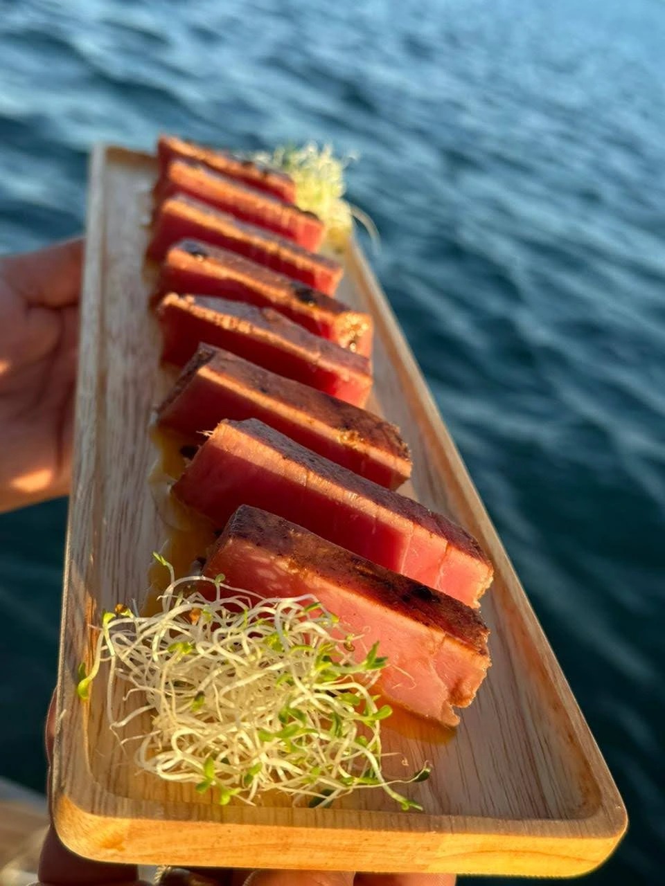 inbound9134348531613828630.jpg inbound9134348531613828630.jpg